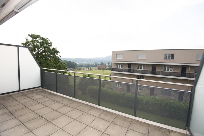 Attraktive Maisonettewohnung mit Dachterrasse (7)
