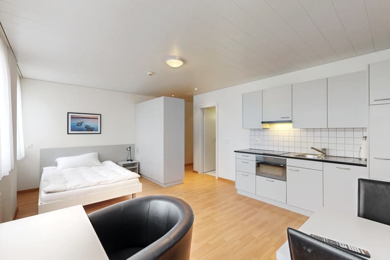 Praktische 1-Zimmerwohnung an zentraler Lage in Berikon (3)