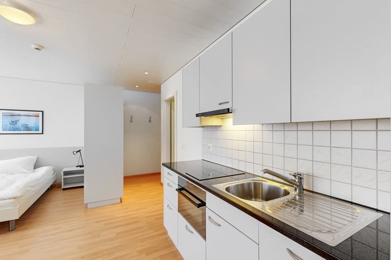 Praktische 1-Zimmerwohnung an zentraler Lage in Berikon (6)