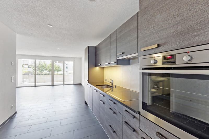 Moderne und einladende Singlewohnung sucht Sie! (3)