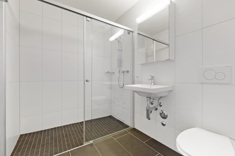 Moderne und einladende Singlewohnung sucht Sie! (8)