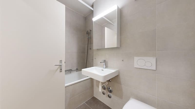 Charmant appartement de 2 pièce au cur de Fribourg (8)