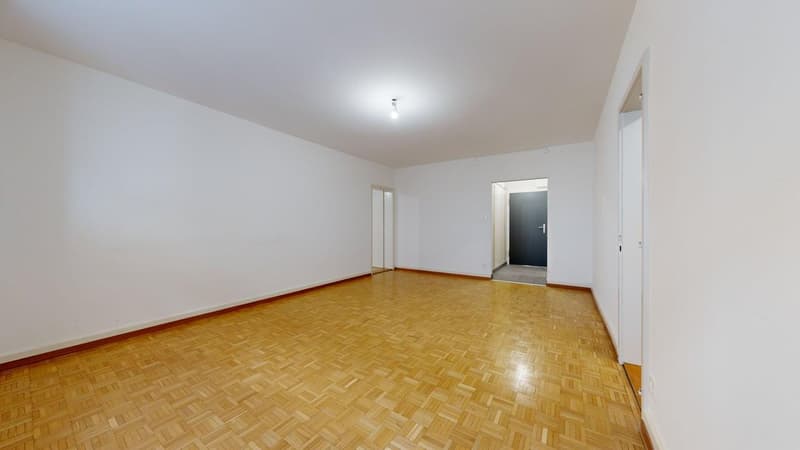 Charmant appartement de 2 pièce au cur de Fribourg (3)