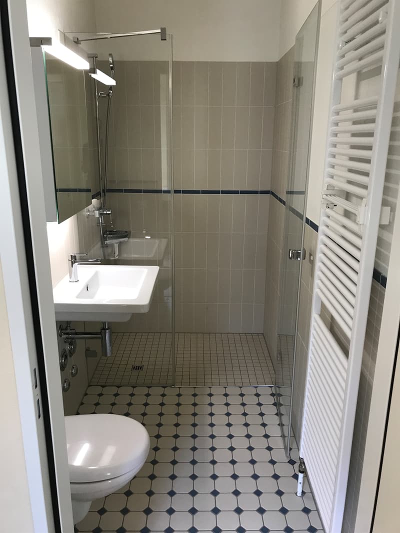 Singlewohnung an zentraler Lage! (3)