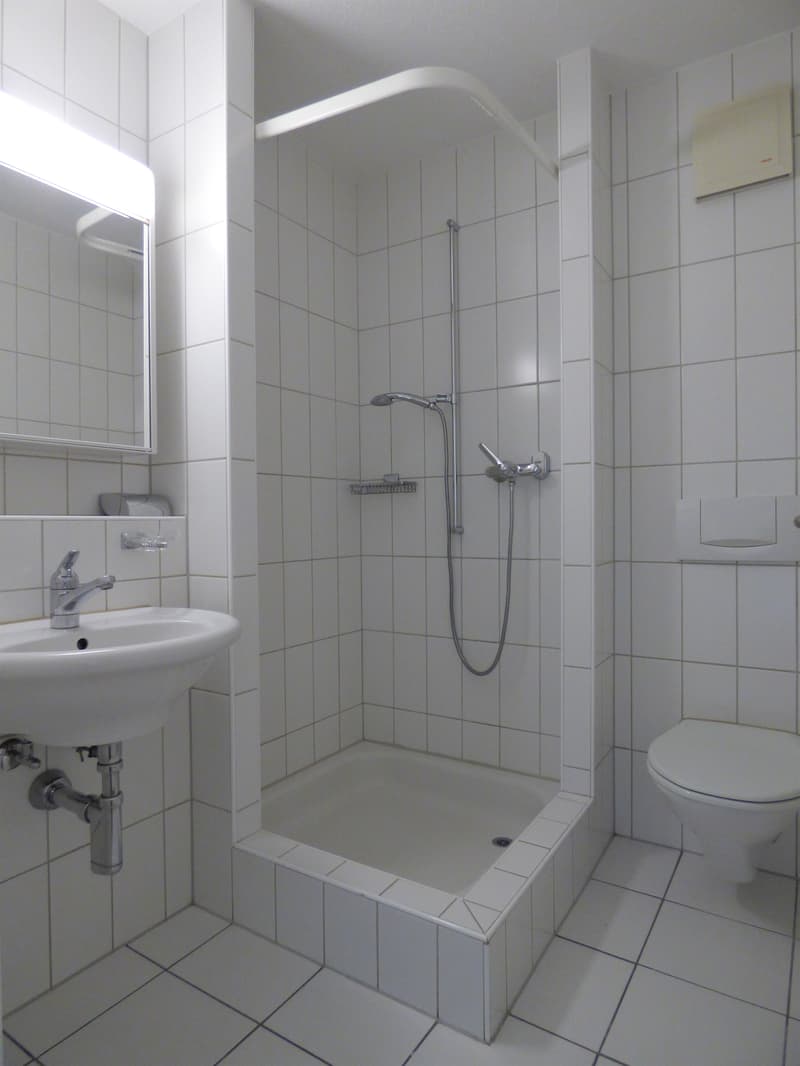 Ihre neue Wohlfühloase direkt im Herzen von Horgen! (10)