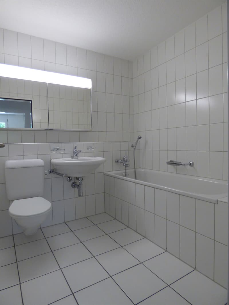 Ihre neue Wohlfühloase direkt im Herzen von Horgen! (9)