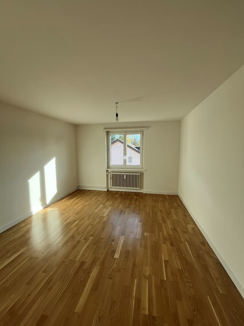 Suchen Sie ein neues Zuhause? (5)