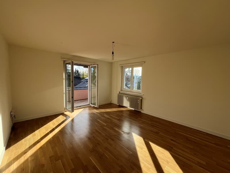 Suchen Sie ein neues Zuhause? (4)