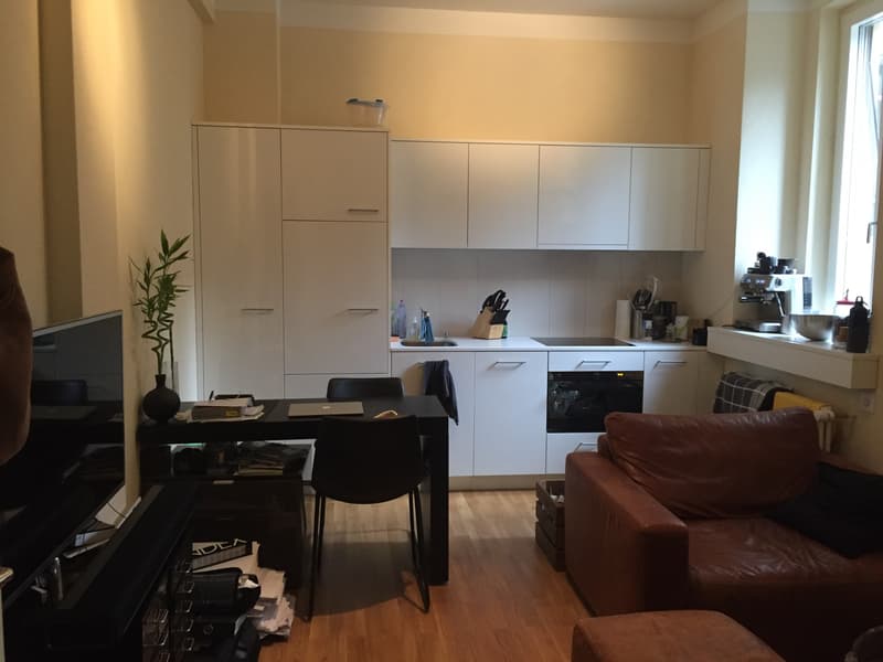 Moderne Wohnung für Singles im Kreis 4 (2)