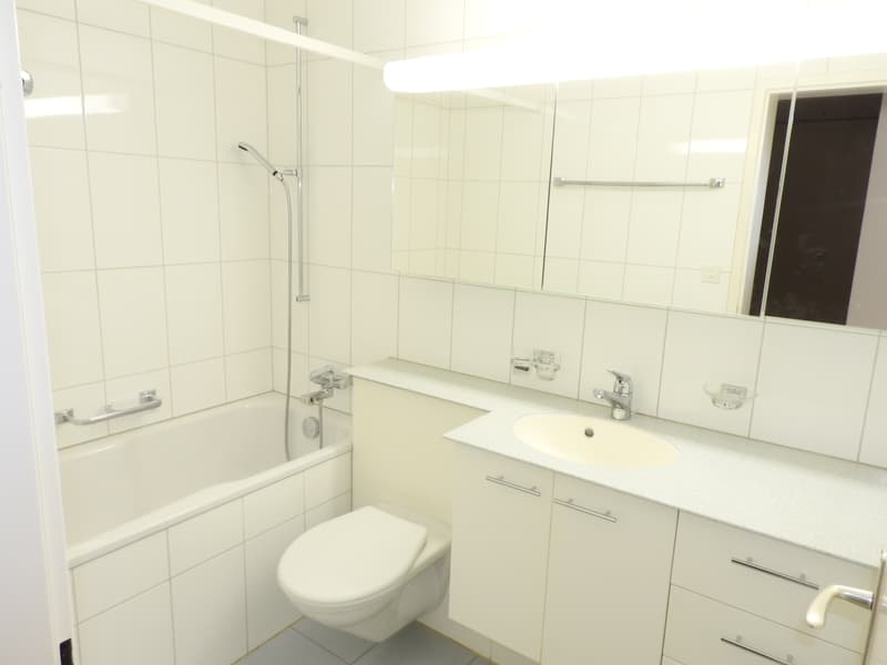 Singlewohnung im Osten von St. Gallen (3)