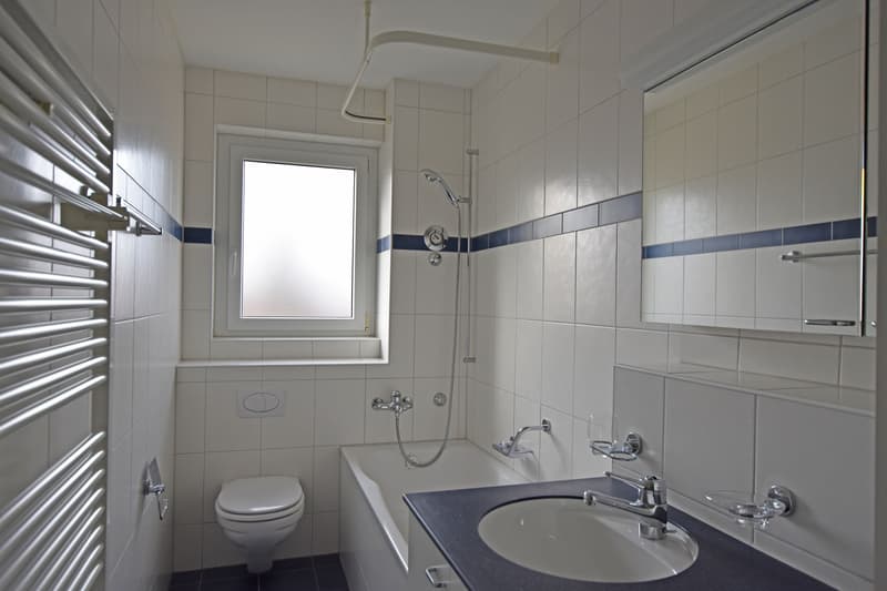 Wohnen im schönen Fischermätteli-Quartier? (5)