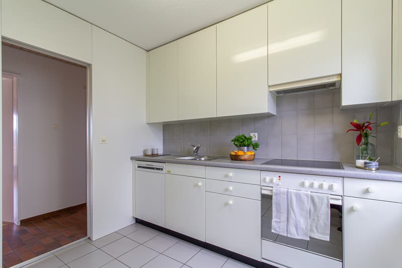 Sitzplatzwohnung sucht neuen Bewohner (4)