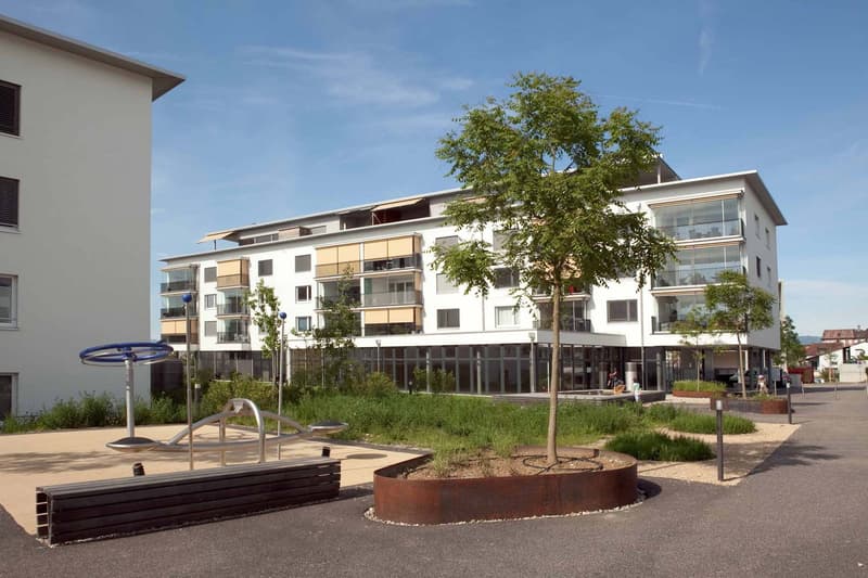 Grosse Dachterrasse zum Verweilen (1)