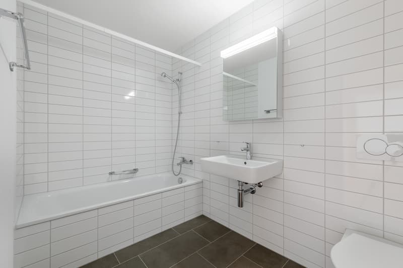 Grosszügige und moderne Wohnung sucht Sie! (8)