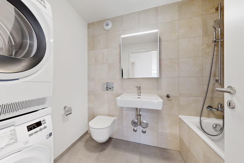 Superbe logement neuf (5)