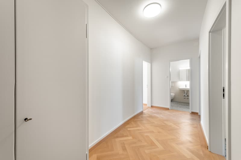 Frisch saniert - im Herzen von Zürich Enge - Ihr neues Zuhause? (4)