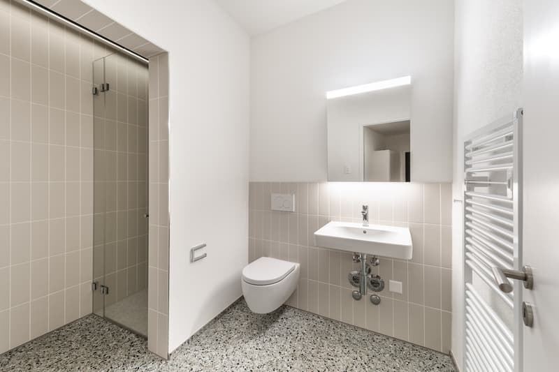 Frisch saniert - im Herzen von Zürich Enge - Ihr neues Zuhause? (7)
