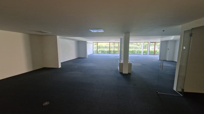 Attraktive Bürofläche zu vermieten! (5)