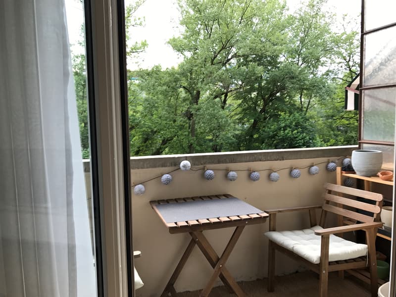 Agréable appartement à Plainpalais (8)