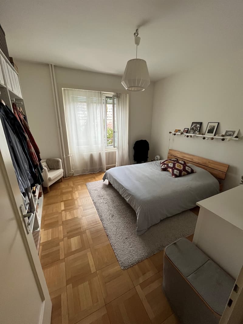 Agréable appartement à Plainpalais (7)
