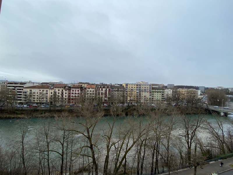 Agréable appartement à Plainpalais (3)