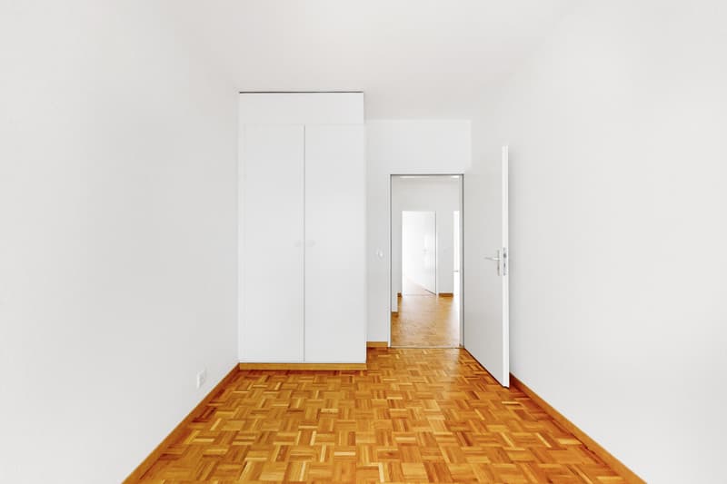 Magnifique appartement à Plainpalais ! (12)
