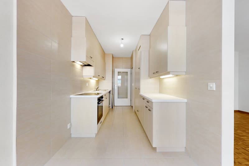 Magnifique appartement à Plainpalais ! (9)