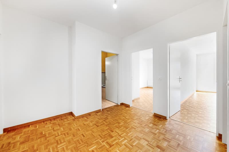 Magnifique appartement à Plainpalais ! (10)