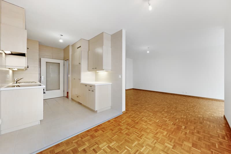 Magnifique appartement à Plainpalais ! (7)