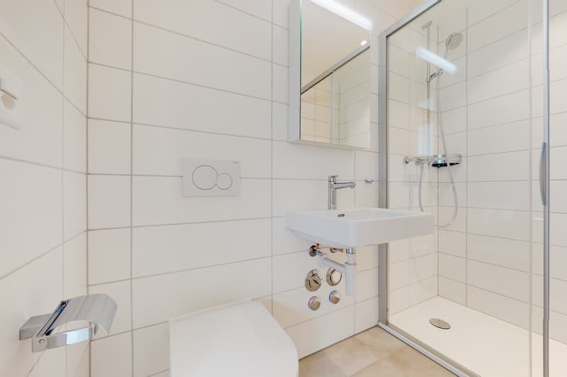 Appartement entièrement rénové avec poutres apparentes (6)