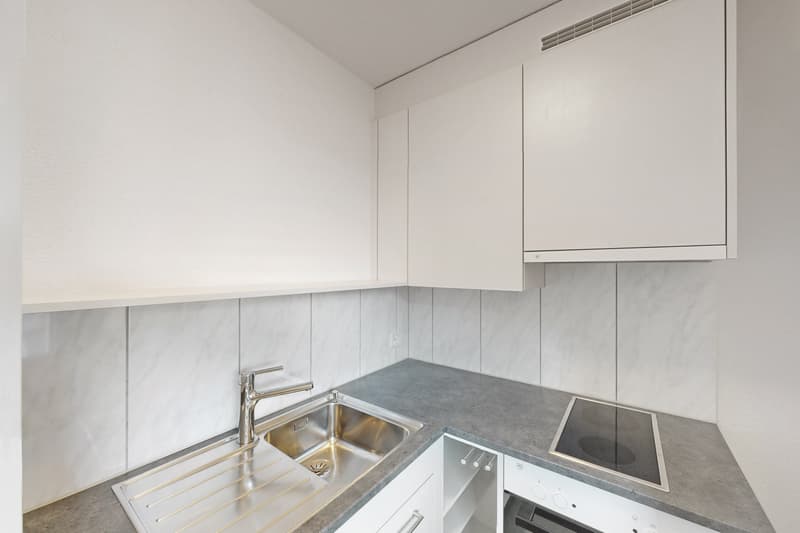 Singlewohnung an zentraler Lage (3)