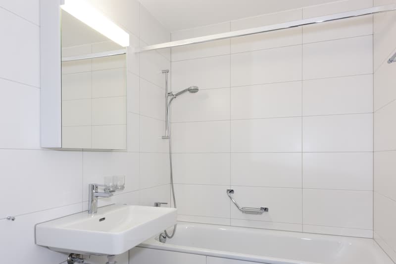 Logement entièrement rénové (3)