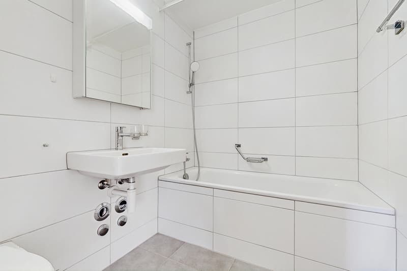 Logement entièrement rénové (9)