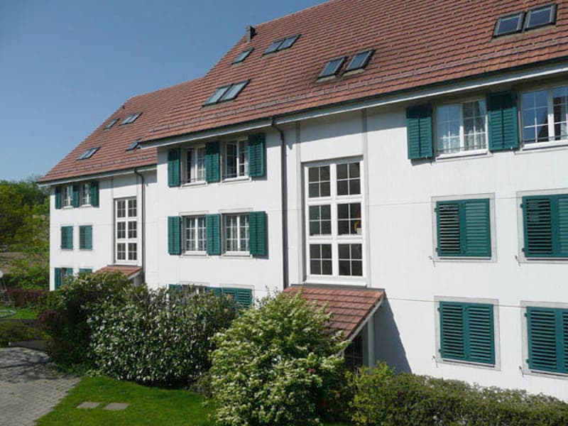Helle Maisonettewohnung (1)