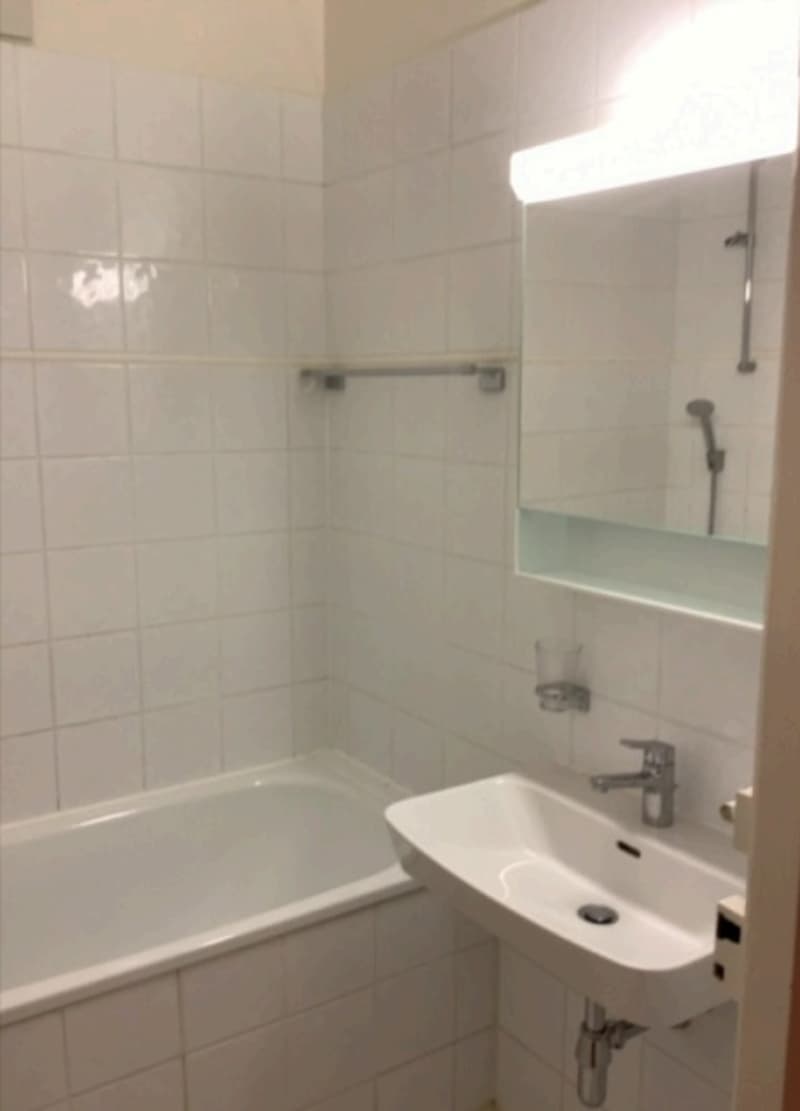 Splendide appartement au coeur de Genève (7)