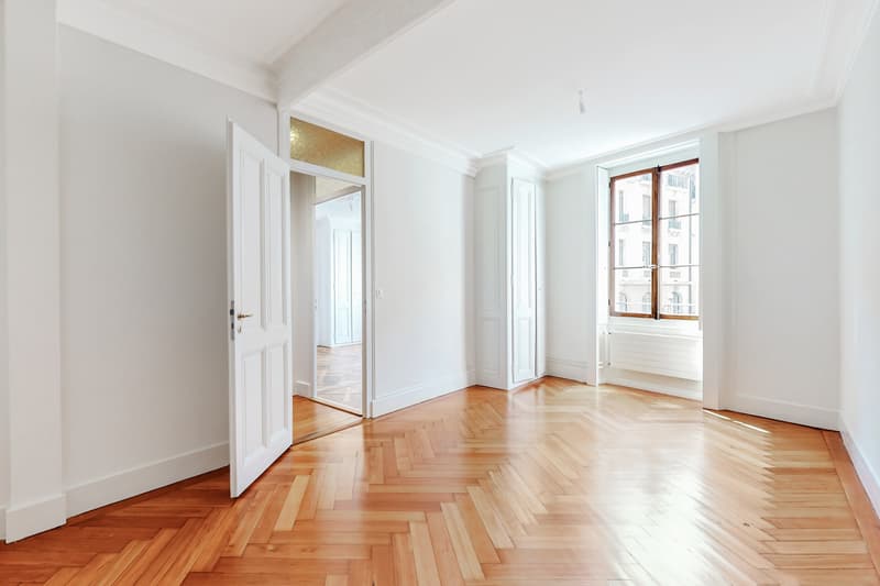 Splendide appartement au coeur de Genève (4)