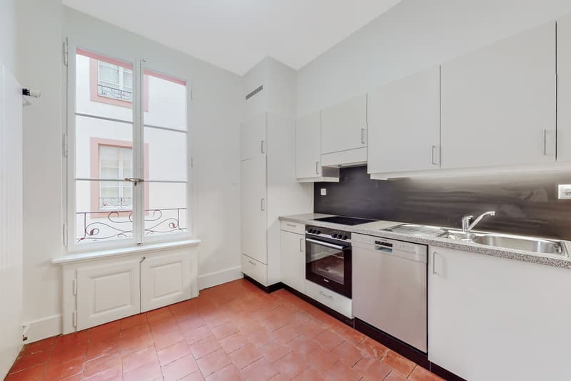 Splendide appartement au coeur de Genève (3)