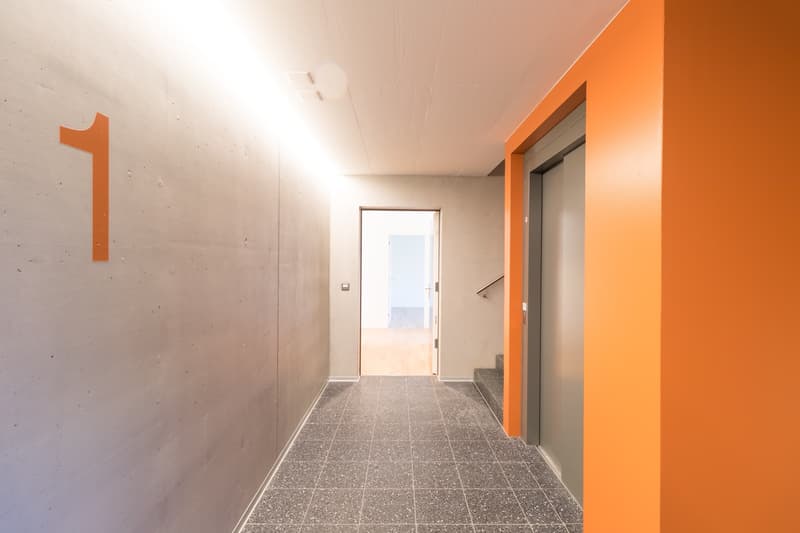 Grosszügige Wohnung im Grünen (2)