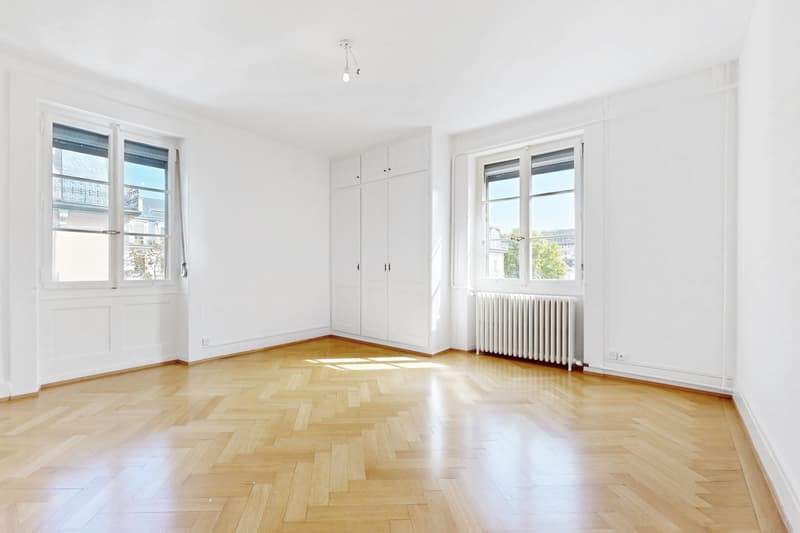 Magnifique logement au coeur de Genève (5)