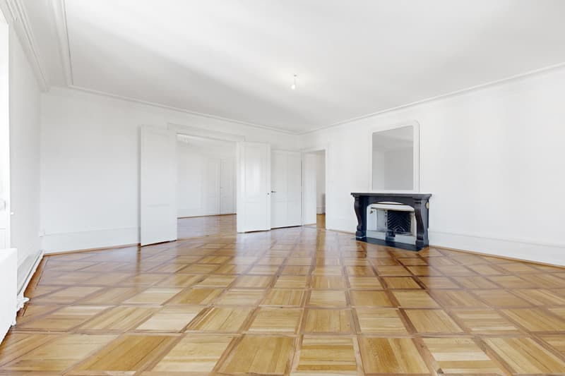 Magnifique logement au coeur de Genève (2)