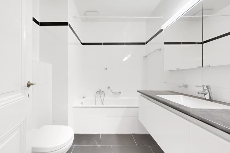Magnifique logement au coeur de Genève (7)