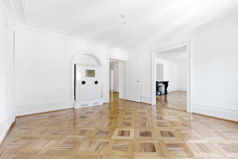 Magnifique logement au coeur de Genève (3)