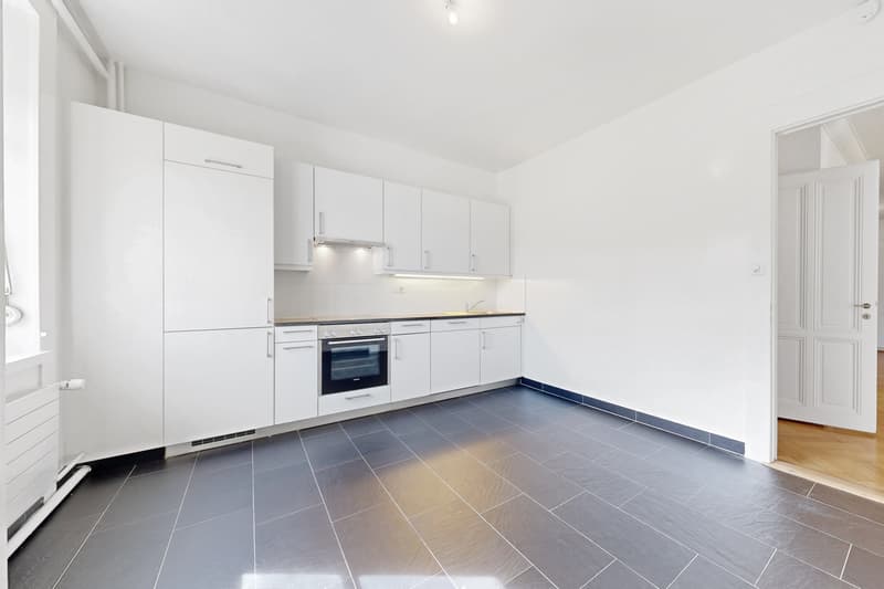 Magnifique logement au coeur de Genève (4)