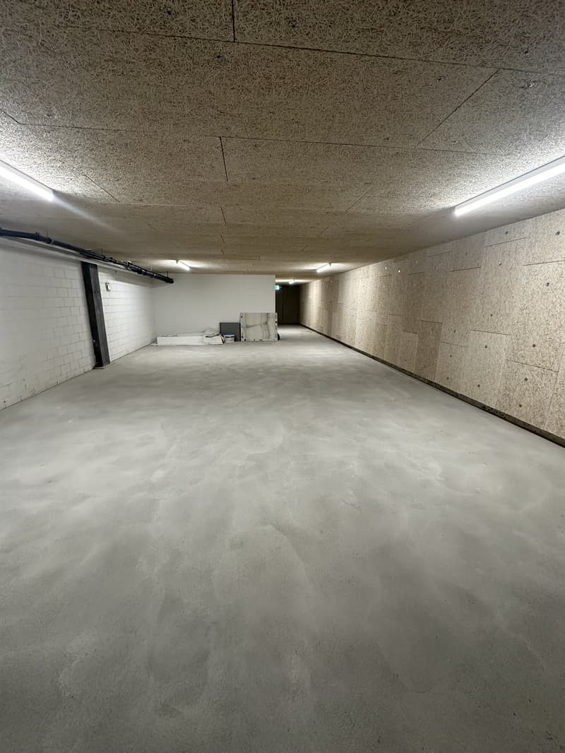 Lagerraum an der Hallenstrasse 8 per 01.07.2025 (3)