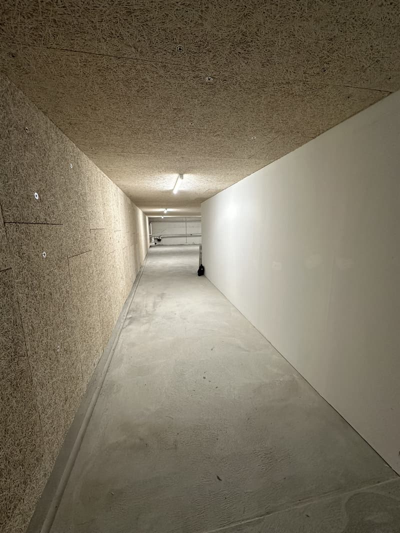 Lagerraum an der Hallenstrasse 8 per 01.07.2025 (4)