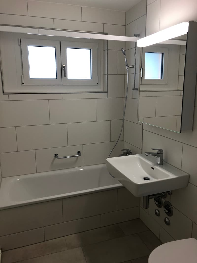 Erstbezug nach Renovierung (8)