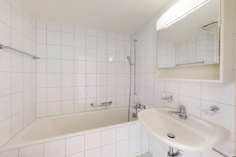 3.5-Zimmer-Wohnung im Schönbühlquartier (8)
