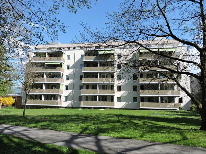 3.5-Zimmer-Wohnung im Schönbühlquartier (1)