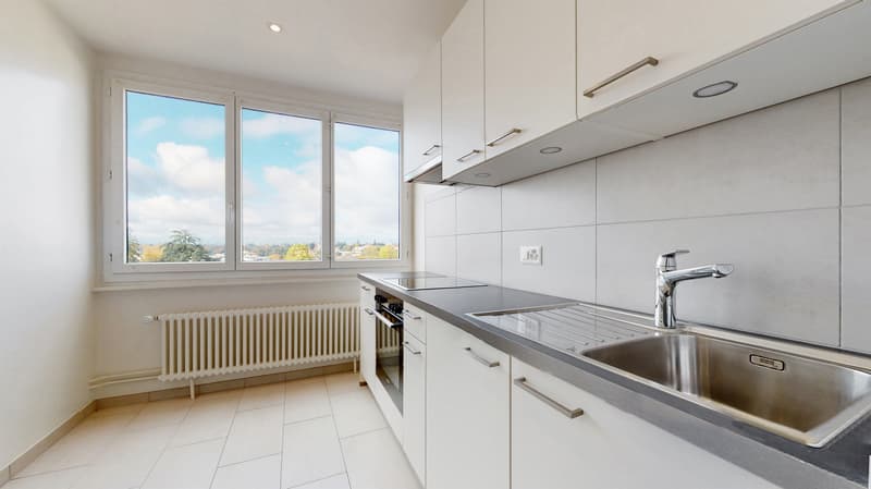 Un agréable logement à Chêne-Bourg (2)