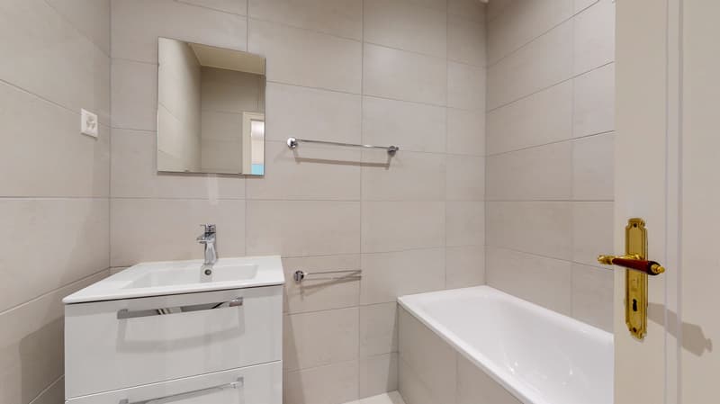 Un agréable logement à Chêne-Bourg (6)